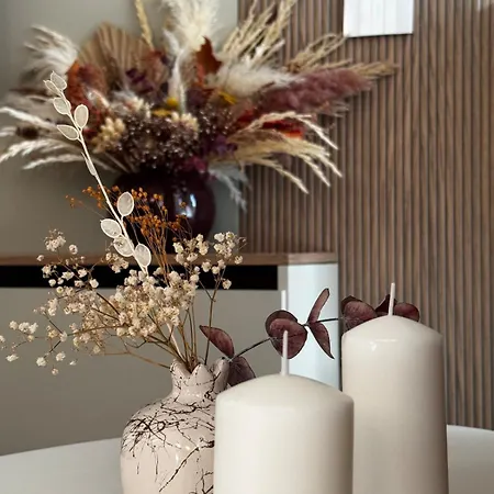 Foxy Cozy * דורס