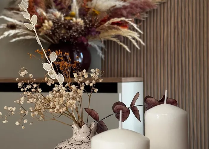 Foxy Cozy * דורס